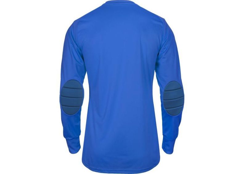 Miesten maalivahdin paita Adidas Assita 17 M AZ5399 kuvasuurennos