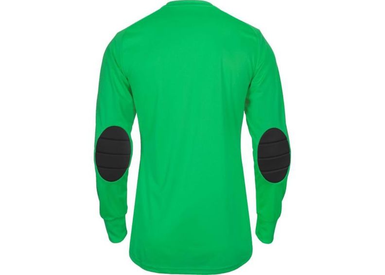 Miesten maalivahdin paita Adidas Assita 17 M AZ5400 kuvasuurennos