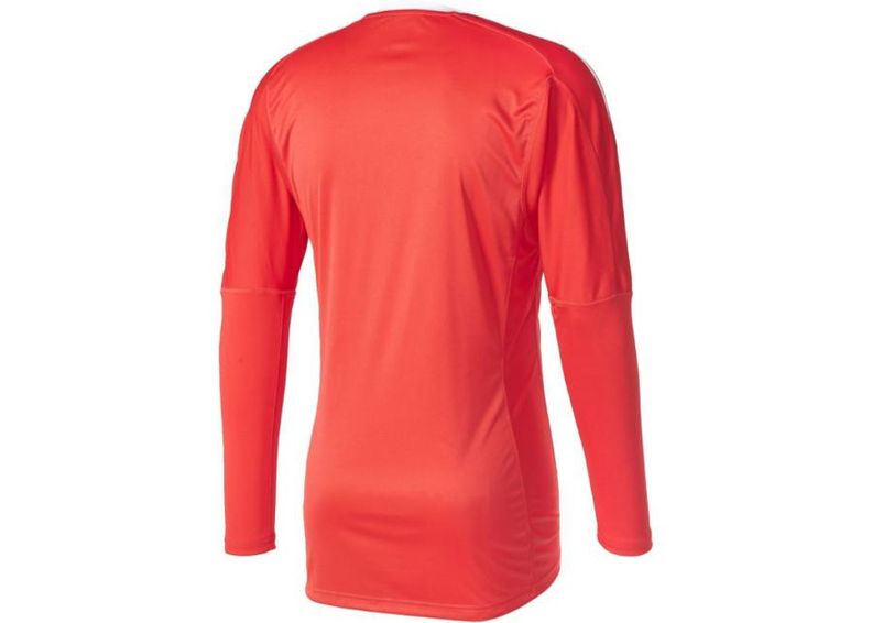 Miesten maalivahdin paita adidas Revigo 17 M AZ5394 kuvasuurennos