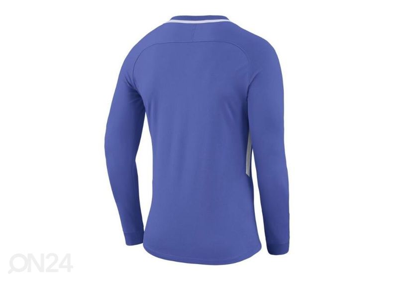 Miesten maalivahdin paita Nike Dry Park III LS M 894509-518 kuvasuurennos