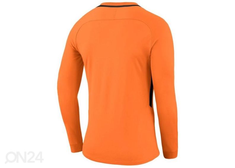 Miesten maalivahdin paita Nike Dry Park III LS M 894509-803 kuvasuurennos