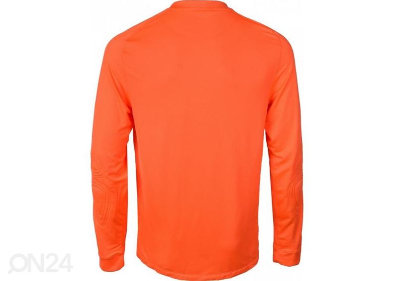 Miesten maalivahdin paita Nike PARK GOALIE II LS M 588418-803 kuvasuurennos
