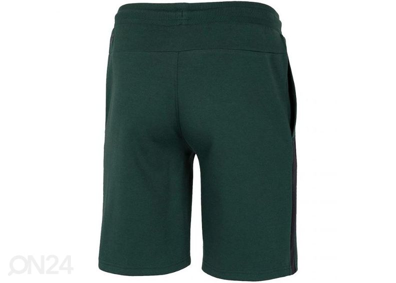 Miesten shortsit 4F kuvasuurennos