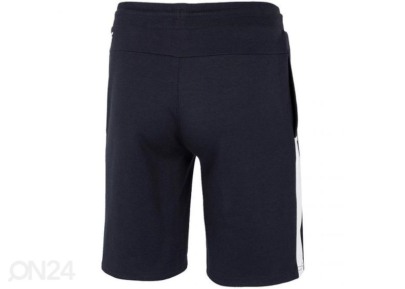 Miesten shortsit 4F kuvasuurennos