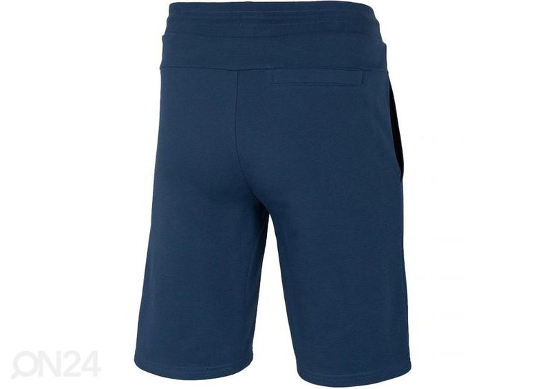 Miesten shortsit 4F kuvasuurennos