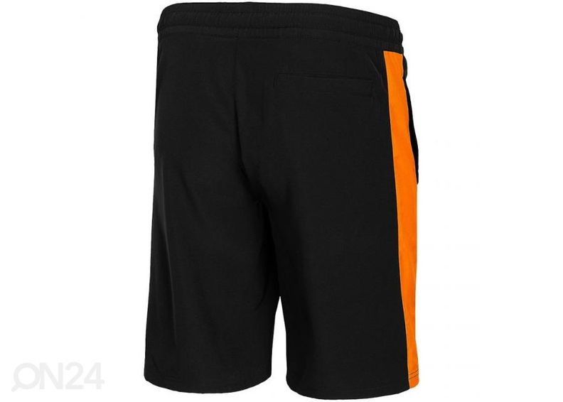 Miesten shortsit 4F kuvasuurennos
