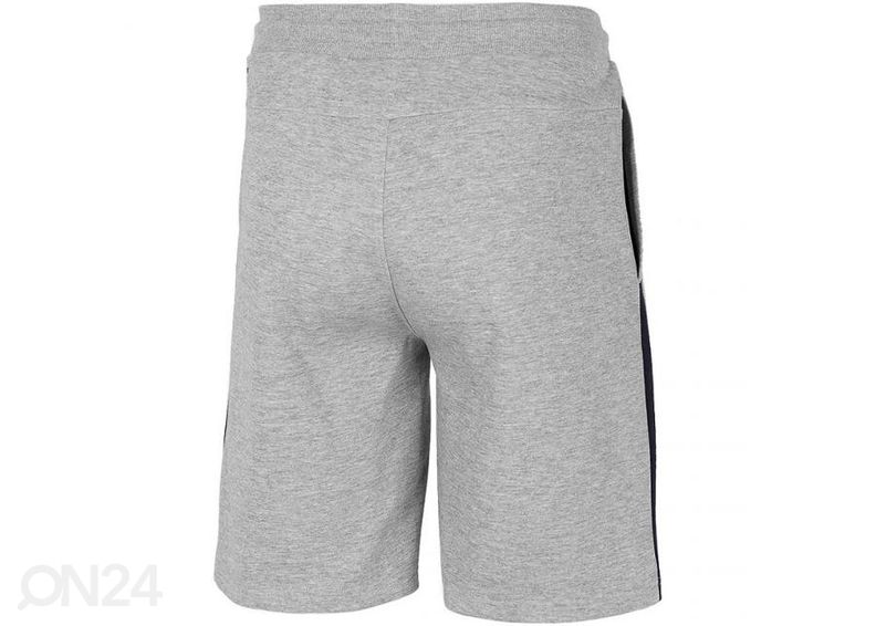 Miesten shortsit 4F kuvasuurennos