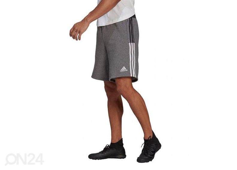 Miesten shortsit Adidas Tiro 21 Sweat kuvasuurennos