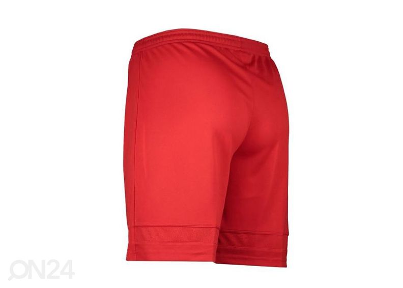 Miesten treenishortsit Nike Dry Academy 21 kuvasuurennos