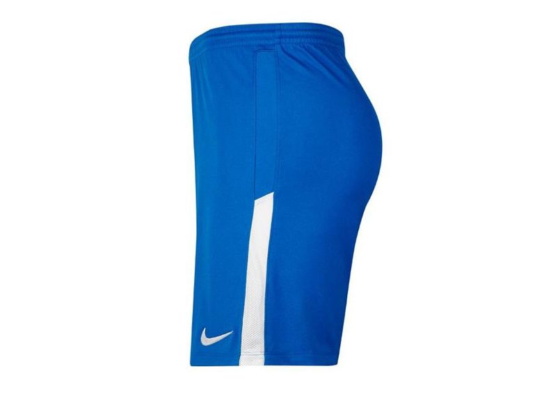 Miesten treenishortsit Nike League Knit II BV6852-463 kuvasuurennos