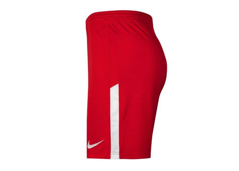 Miesten treenishortsit Nike League Knit II BV6852-657 kuvasuurennos