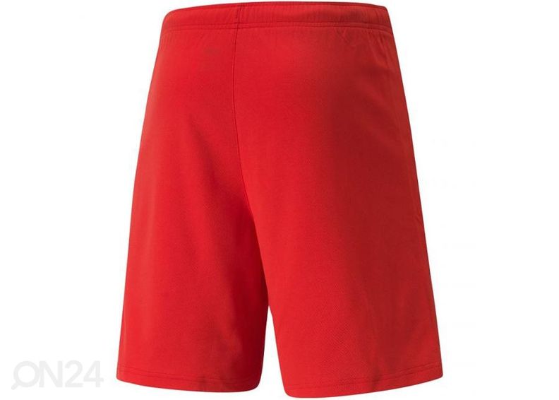 Miesten treenishortsit Puma teamRISE Short kuvasuurennos