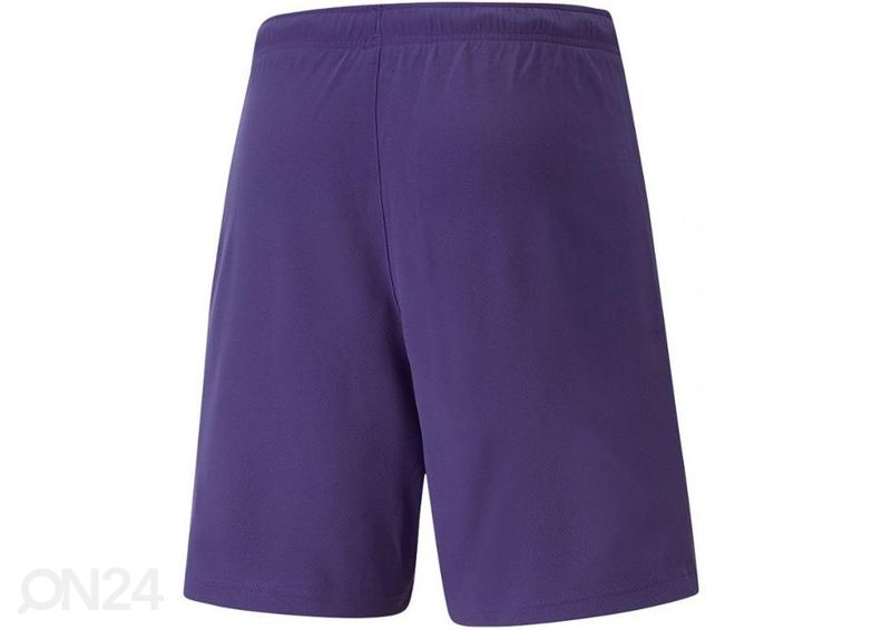 Miesten treenishortsit Puma teamRISE Short Prist kuvasuurennos