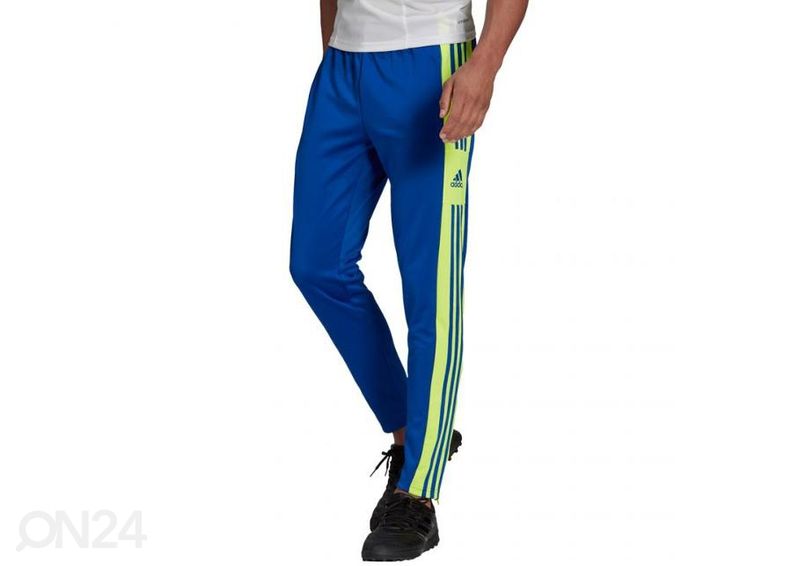Miesten verryttelyhousut Adidas Squadra 21 Training Pant kuvasuurennos
