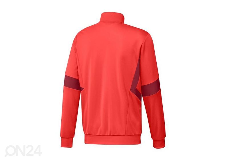 Miesten verryttelytakki Adidas Bayern Munich kuvasuurennos