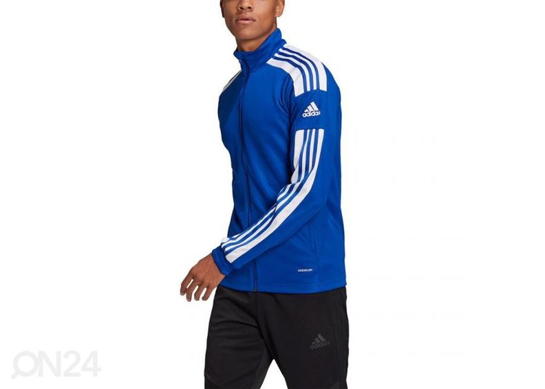 Miesten verryttelytakki Adidas Squadra 21 Training kuvasuurennos