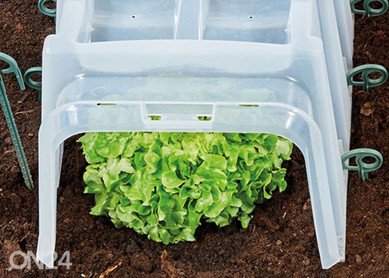 Minikasvihuone-tunneli SUNNY 210 cm kuvasuurennos