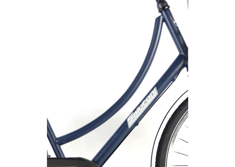 Naisten kaupunkipyörä SALUTONI Dutch oma bicycle Glamour 28 tuumaa 56 cm Shimano Nexus 3 vaihdetta kuvasuurennos