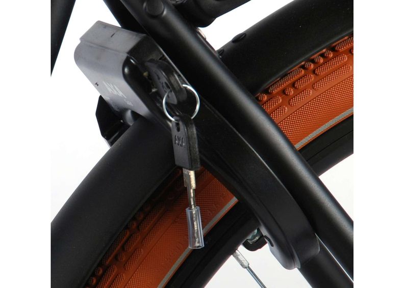 Naisten kaupunkipyörä SALUTONI Excellent Shimano Nexus 3 kuvasuurennos