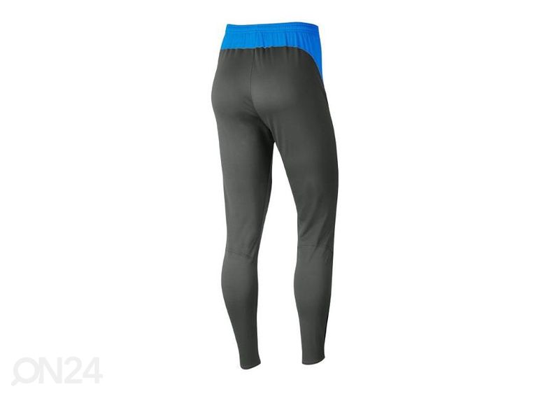 Naisten pitkät treenileggingsit Nike Dry Academy Pro W BV6934-060 kuvasuurennos