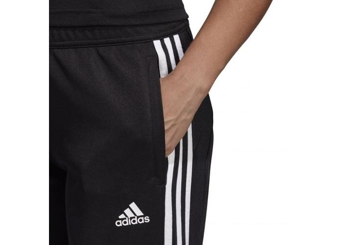 Naisten verrytelyhousut Adidas Tiro 19 Training Pant W D95957 kuvasuurennos