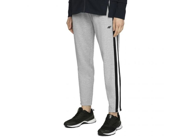 Naisten verryttelyhousut 4F W H4L20 SPDD002 27M kuvasuurennos