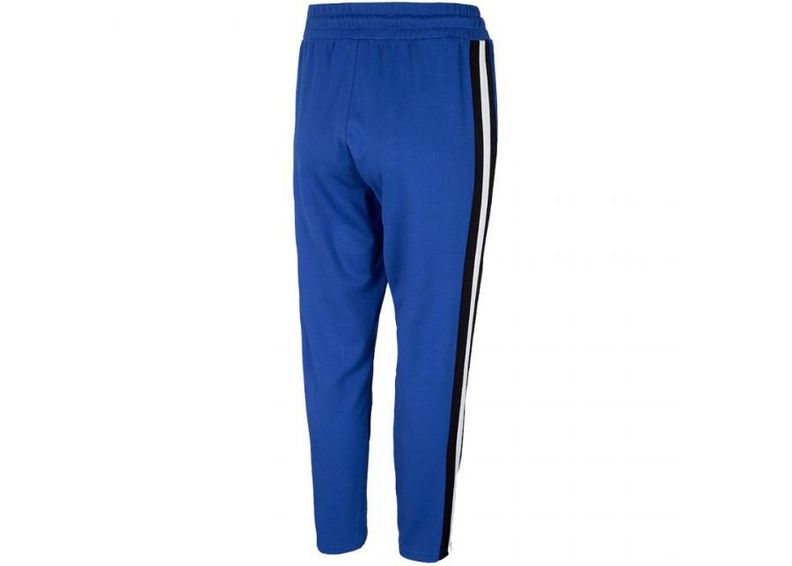 Naisten verryttelyhousut 4F W H4L20 SPDD002 36S kuvasuurennos