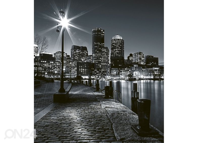 Non-woven kuvatapetti Boston 375x250 cm kuvasuurennos