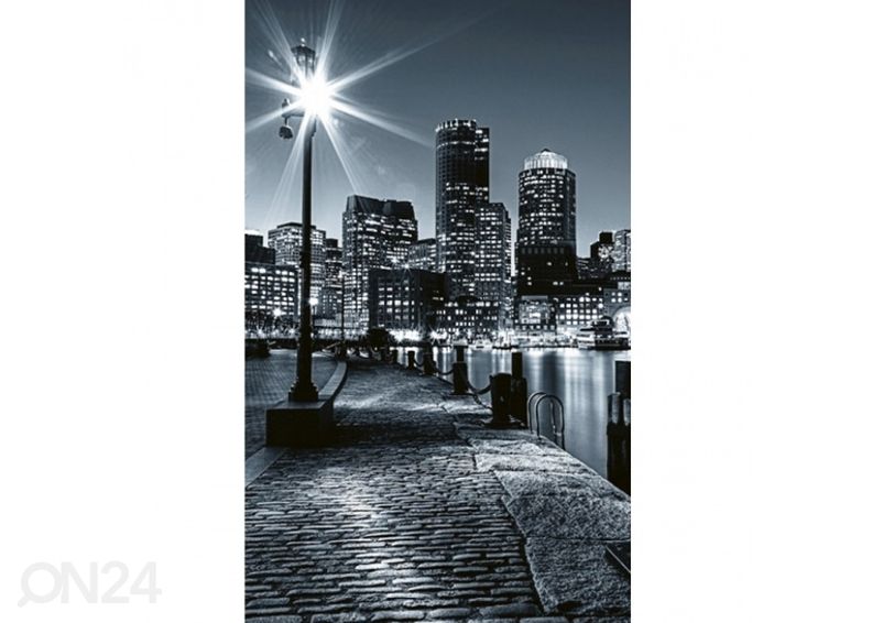 Non-woven kuvatapetti Boston 375x250 cm kuvasuurennos