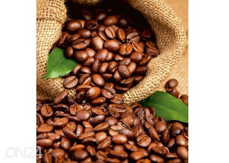 Non-woven kuvatapetti Coffee beans 375x150 cm kuvasuurennos
