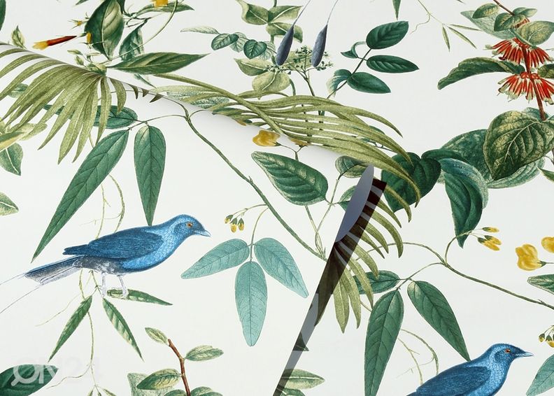 Non-woven kuvatapetti Exotic Garden kuvasuurennos