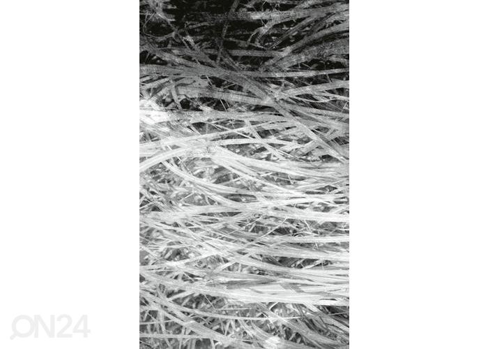 Non-woven kuvatapetti Hay Abstract II 150x250 cmcm kuvasuurennos