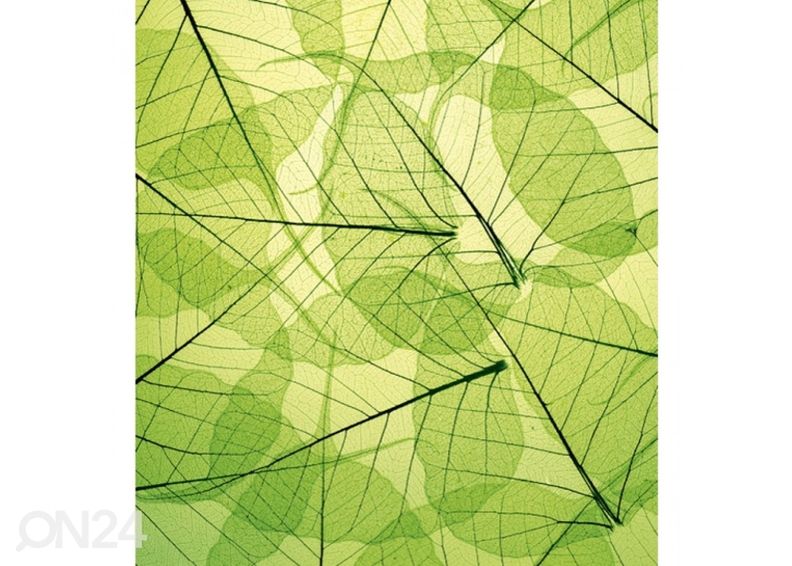 Non-woven kuvatapetti Leaf veins 150x250 cm kuvasuurennos