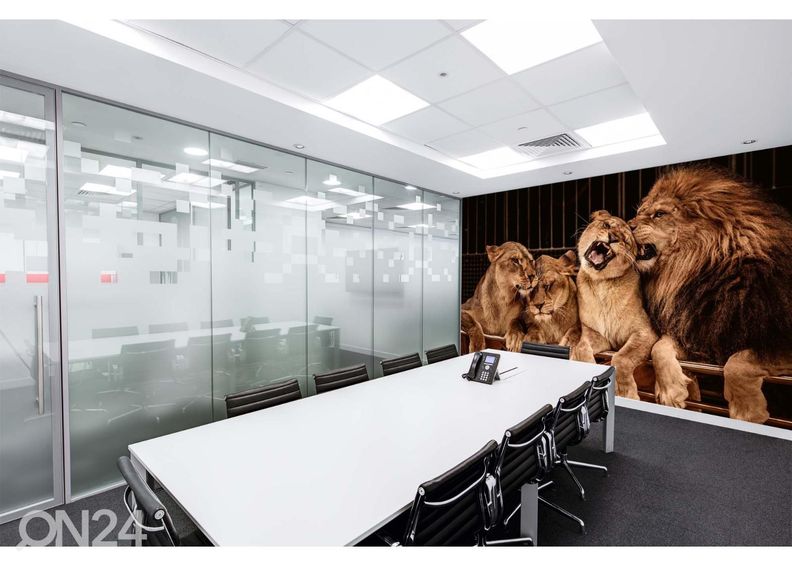 Non-woven kuvatapetti Lion And Three Lioness kuvasuurennos