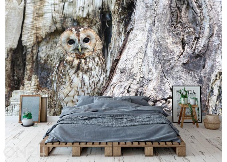Non-woven kuvatapetti Owl on a Grey Tree 368x254 cm kuvasuurennos