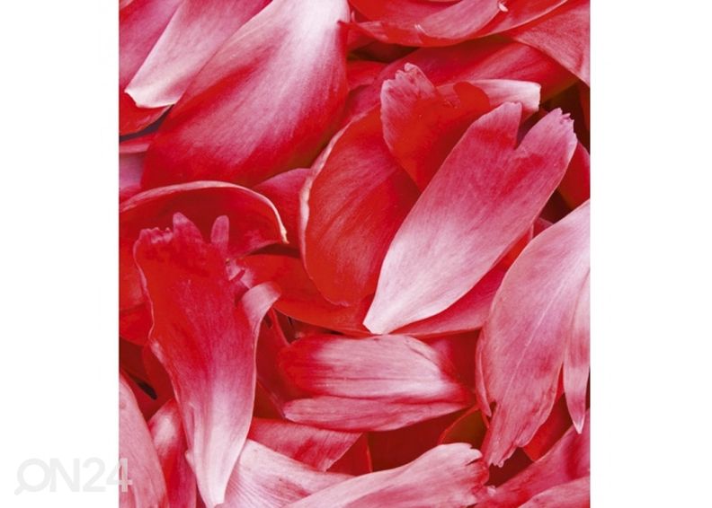 Non-woven kuvatapetti Red petals 150x250 cm kuvasuurennos