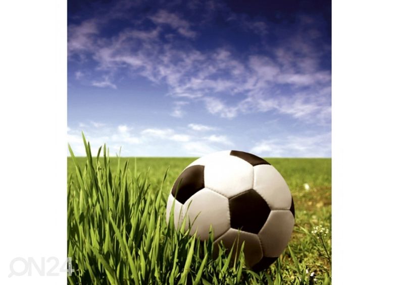 Non-woven kuvatapetti Soccer ball 225x250 cm kuvasuurennos