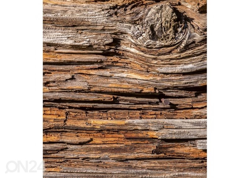 Non-woven kuvatapetti Tree bark 225x250 cm kuvasuurennos