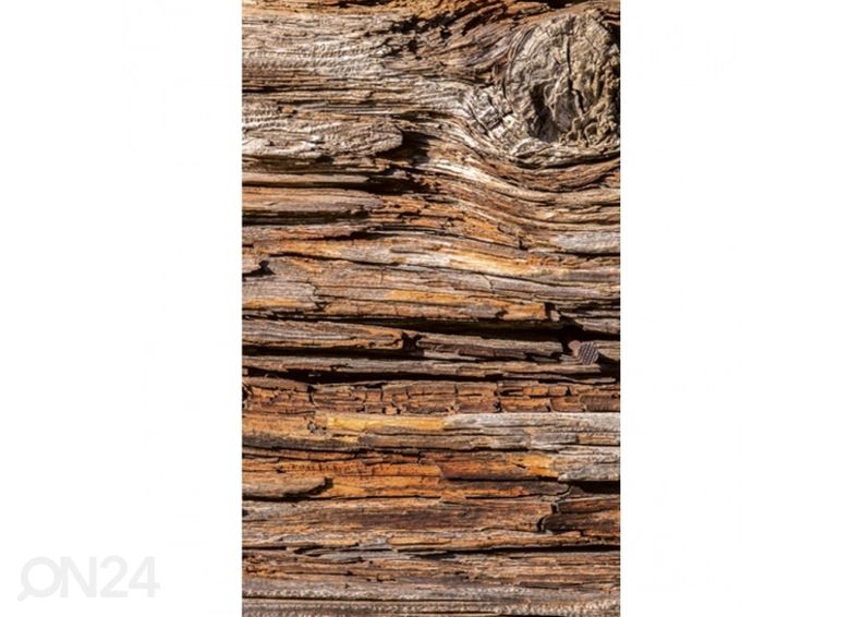 Non-woven kuvatapetti Tree bark 225x250 cm kuvasuurennos