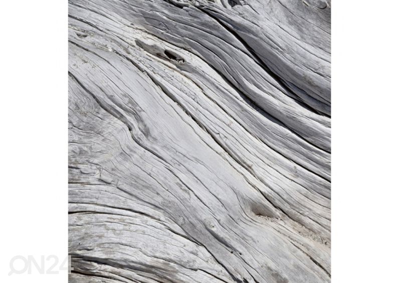 Non-woven kuvatapetti Tree texture 225x250 cm kuvasuurennos