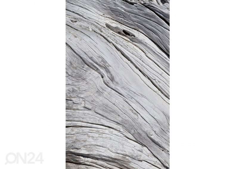 Non-woven kuvatapetti Tree texture 225x250 cm kuvasuurennos