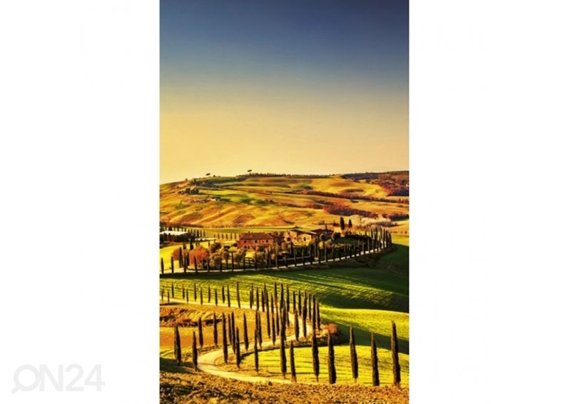 Non-woven kuvatapetti Tuscany 375x150 cm kuvasuurennos