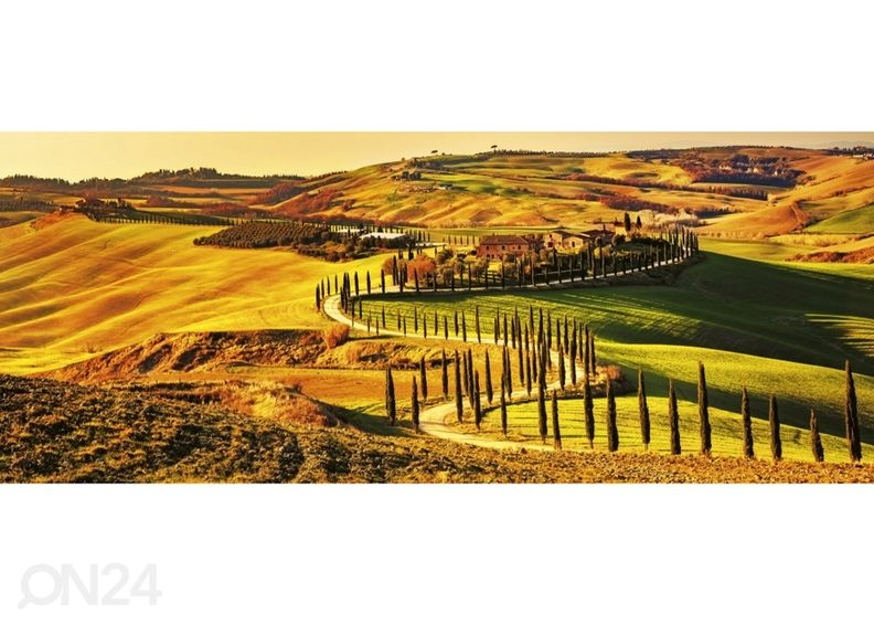 Non-woven kuvatapetti Tuscany 375x150 cm kuvasuurennos