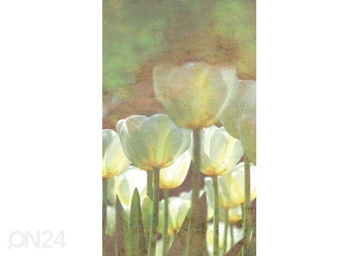 Non-woven kuvatapetti White Tulips Abstract 150x250 cm kuvasuurennos