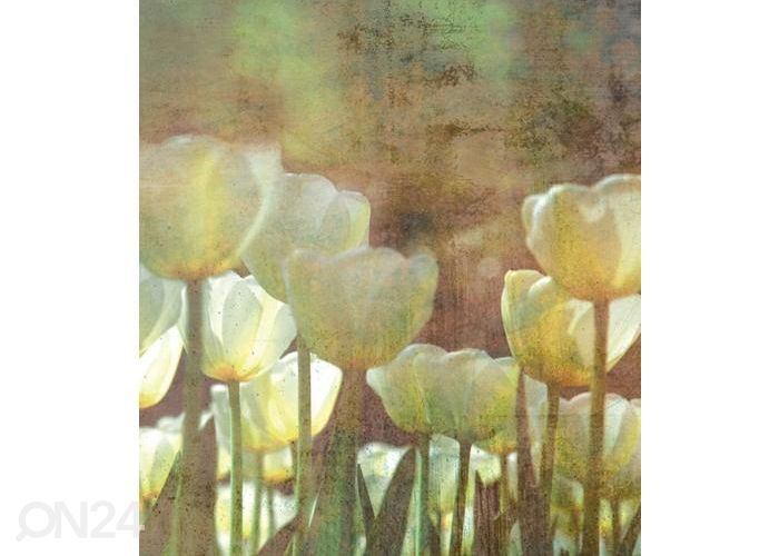 Non-woven kuvatapetti White Tulips Abstract 375x250 cm kuvasuurennos