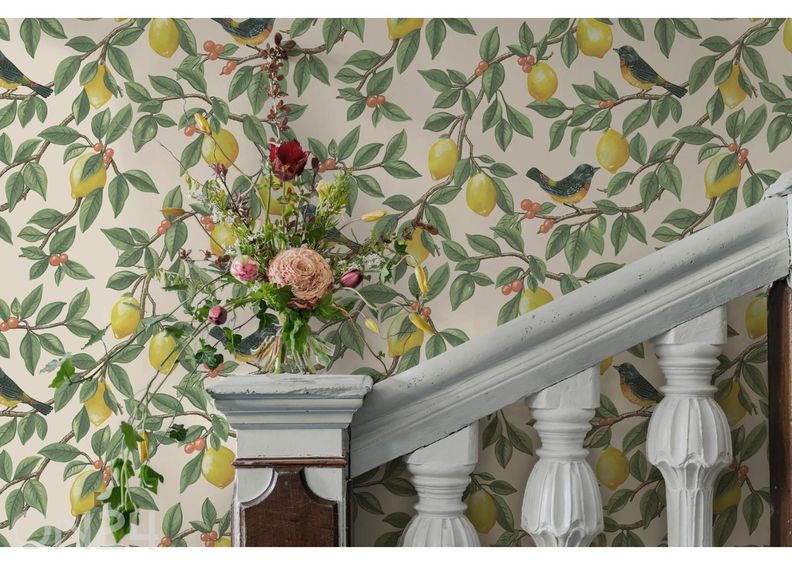 Non-woven tapetti Ponderosa kuvasuurennos