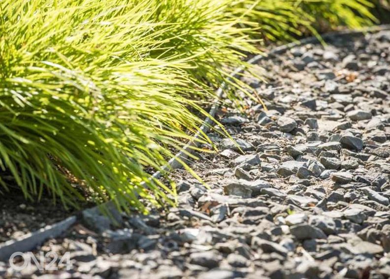 Nurmikon rajausreuna Ecolat 14 cm, 25 m kuvasuurennos