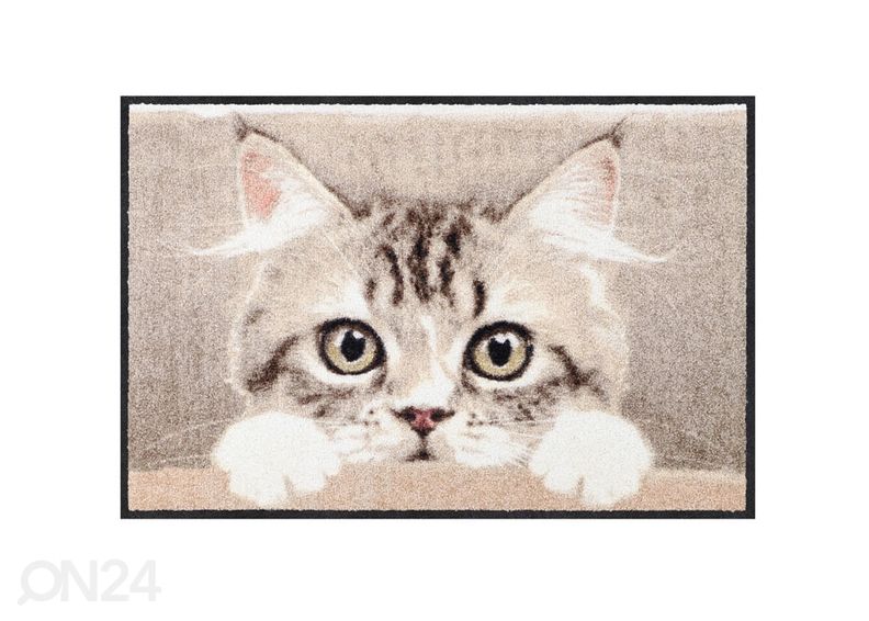 Ovimatto NOSY CAT 50x75 cm kuvasuurennos
