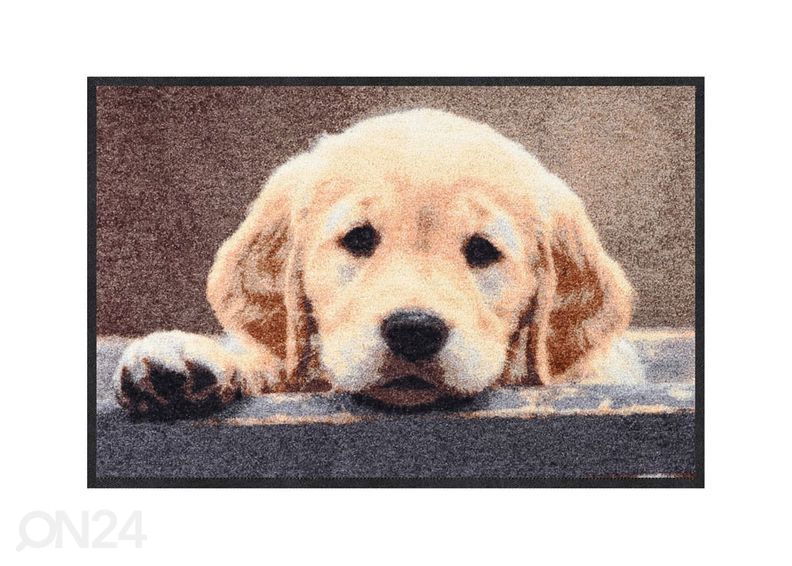 Ovimatto NOSY DOG 50x75 cm kuvasuurennos