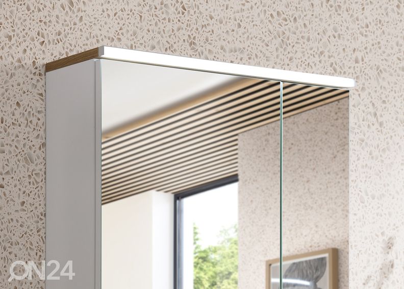 Peilikaappi 25-I kuvasuurennos